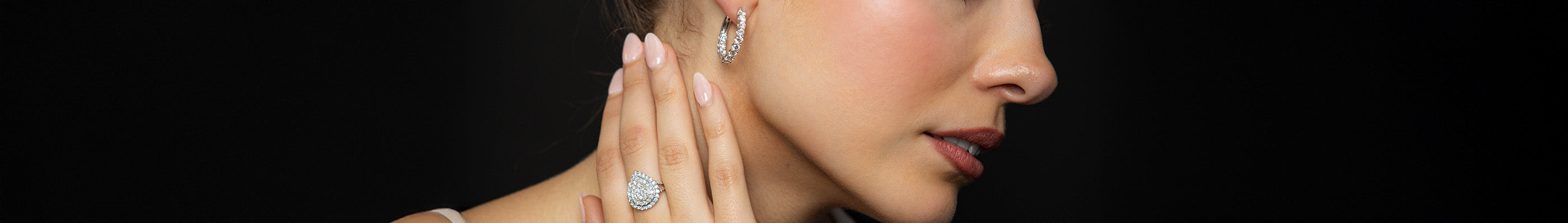 collection banner image