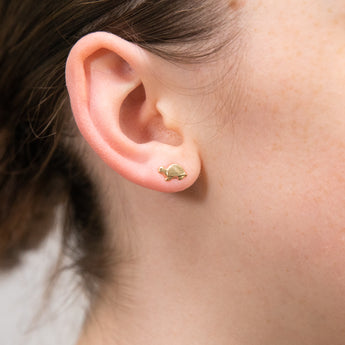 9ct Yellow Gold Plain Tortoise Open Back Stud Earrings