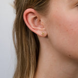 9ct Yellow Gold Twin Dolphin Stud Earrings