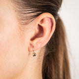 9ct Yellow Gold Diamond Cut 5.4mm Flat Euroball Hook Earrings