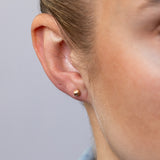 9ct Rose Gold 4mm Polished Ball Stud Earrings