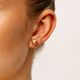 9ct Rose Gold 8mm Polished Ball Stud Earrings