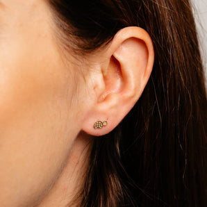 Turtle Stud Earrings in 9ct Yellow Gold