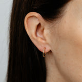 Dicut 13mm Sleeper Earrings in 9ct Yellow Gold