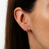 9ct Yellow Gold Teardrop Stud Earrings