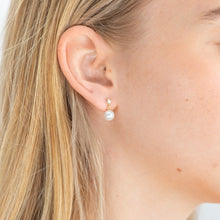 Load image into Gallery viewer, 9ct Yellow Gold Pearl Drop Earrings