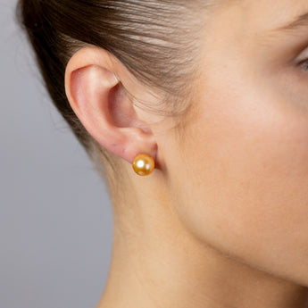 9-11MM Golden South Seal Pearl Stud Earrings in 9ct Yellow Gold