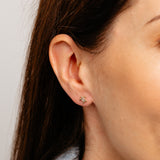 Cubic Zirconia Turtle Stud Earrings in 9ct Yellow Gold