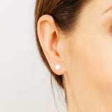 5.5-6mm White Freshwater Pearl Earrings in Sterling Silver