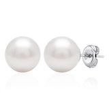 11-12mm White South Seal Pearl Stud Earrings in Sterling Silver