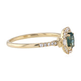 Sapphire and Diamond Ring in 9ct Yellow Gold