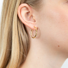Load image into Gallery viewer, 9ct Yellow Gold Silver Filled 20mm  Hoop Earrings with twist pattern