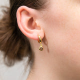 9ct Yellow Gold Silverfilled  Hoop With Brown Stone Earrings