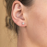 Luminesce Lab Grown 9ct Yellow Gold 1/4 Carat Diamond Earrings