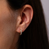 1/4 Carat Diamond Hoop Earrings in 9ct Yellow Gold