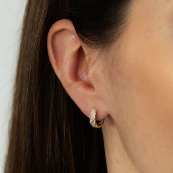 1/10 Carat Diamond Hoop Earrings in 9ct Yellow Gold
