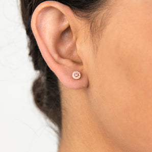 Luminesce Lab Grown 1/5 Carat Diamond Stud Earrings in 9ct Rose Gold