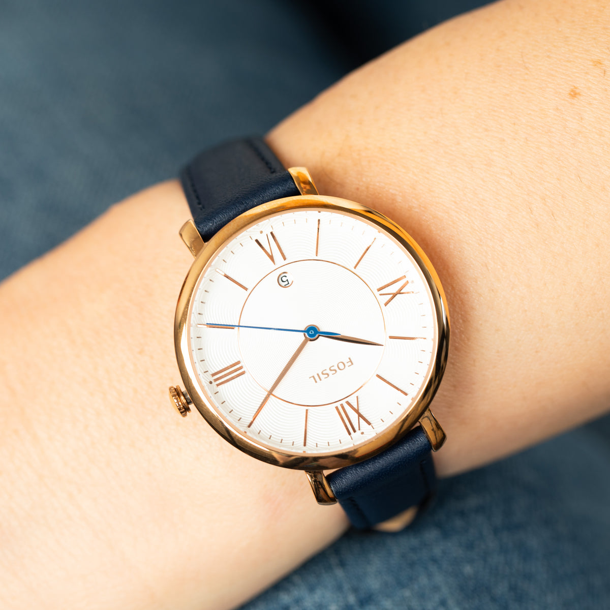 Fossil 'Jacqueline' ES3843 Navy Blue Leather Womens Watch Shiels