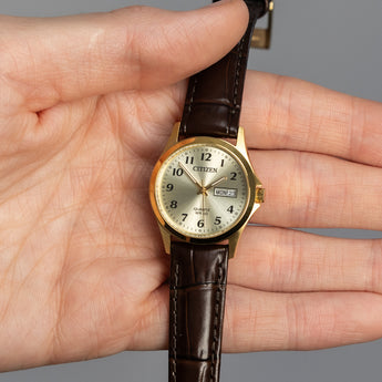 Citizen Quartz EQ2002-07P