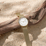 Skagen Signatur Lille Slim SKW2693