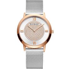 Load image into Gallery viewer, Ellis &amp; Co Mariah Silver Tone Women&#39;s Watch