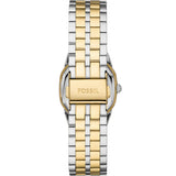 Fossil Harlow ES5362
