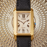 Citizen Eco-Drive EW5622-09P