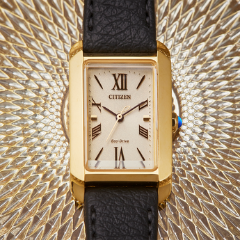 Citizen Eco-Drive EW5622-09P