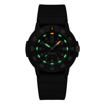Luminox Original Navy SEAL XS.3013.EVO.S