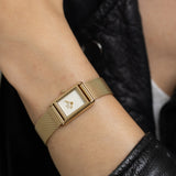 Daniel Wellington Bound Mini Mesh DW00100928