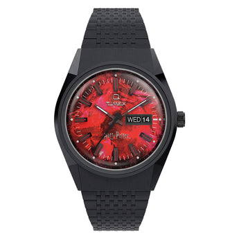 Harry Potter x Q Timex Sorcerer Stone TW2Y99700 Limited Edition