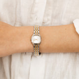 Skagen Mellem Micro SKW3176