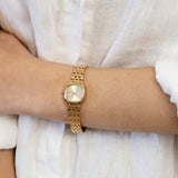 Skagen Mellem Micro SKW3177