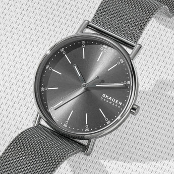 Skagen Signatur SKW6577