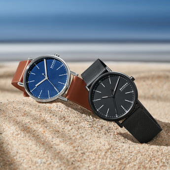 Skagen Signatur SKW6579