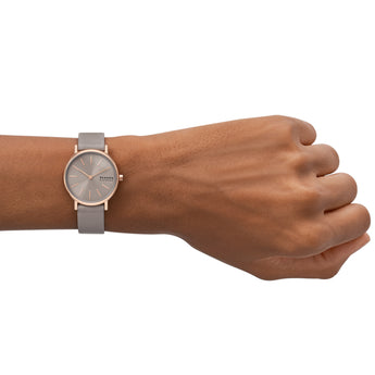 Skagen Signatur Lille SKW3060