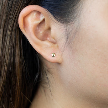9ct Yellow Gold Dicut Round Stud Earrings