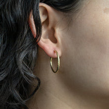 Load image into Gallery viewer, 9ct Silverfilled Yellow Gold Diamond Cut 20mm Sleeper Earrings