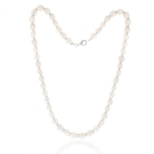 Load image into Gallery viewer, White Freshwater Flat Pearl 43cm Necklace with Sterling Silver Clasp