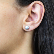 Load image into Gallery viewer, Grey Freshwater Pearl Stud Earrings